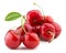 Juicy cherries isolated on the white background