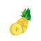 Juicy citrus fruit pineapple.