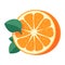 Juicy citrus fruits orange refreshment