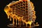 juicy comb with gold honey close up illustration Generative AI