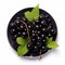 Juicy delicious blackcurrant lies on beautiful plate, Ai generated