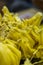 Juicy Delight: Close-up Capture of Fresh Jackfruit Pulps