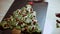 Juicy fresh kiwi slices and frozen red currant arranged in a shape of Christmas tree on a black marble cutting board