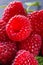 Juicy fresh natural raspberries on a dark stone background