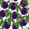 Juicy fresh plums. Fruit Slices. Summer seamless pattern.