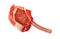 Juicy fresh red meat lamb chop isolated