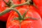 Juicy fresh red tomatoes for salad preparation