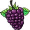 Juicy Grapes: Hand-Drawn Cartoon Illustration