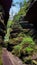 Juicy green mossy rocky passage on a forest path, Saxony, Germany