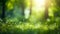 Juicy green nature background, leaves and grass, bokeh style, blurred background.