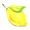 Juicy lemon with leaf isolated, watercolor illustration on white