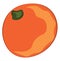 A juicy mandarin, vector or color illustration