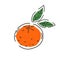 Juicy mandarine  on a white background. Fruit. Contour drawing. Icon. Vector illustration