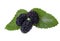 Juicy mulberry with leaves isolated