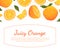 Juicy Orange Banner Template, Fresh Whole and Cut Ripe Citrus Fruits Vector Illustration