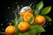 Juicy oranges, green leaves, and a falling aluminum soda can in motion