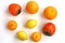 Juicy oranges, persimmons, tangerines and lemons on a white background