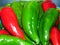 Juicy organic green and red peppers close up photo. Peppers covered with water drops.