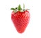 Juicy organic strawberry isolated