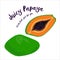 Juicy Papaya. Fresh fruit drawn by hand. Vector illustration