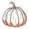 Juicy Pumpkin Image. Autumn Food Illustration. Ripe squash sketch. Element for autumn decorative design, halloween