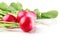 Juicy radish with green leaves