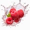 Juicy Raspberries in Splash Isolated Berries in white background