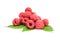 Juicy raspberry isolated on a white background cutout