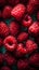 Juicy red raspberries with water droplets on a dark background.