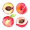 Juicy ripe peaches . Sliced fruits isolated on white background. Summer healthy food drawing.Hand-drawn watercolor