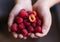 Juicy and ripe raspberries in the hands of a child. Harvest. Beautiful berries