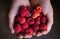 Juicy and ripe raspberries in the hands of a child. Harvest. Beautiful berries