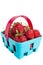 Juicy ripe strawberries in a small blue basket