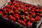 Juicy, ripe strawberries with twigs are laid out in a box for transportation. Copy Space