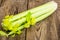 Juicy stemmed celery