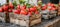 Juicy strawberries in rustic crates with soft lighting, perfect for food ads in warehouse