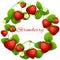 Juicy strawberry vector frame wreath. Health dessert eating strawberries background