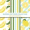 Juicy  summer pattern collection. Lemon theme. Summer banner