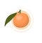 Juicy tangerine, mandarin. Isolated orange with leaves. A whole tangerine, mandarin. Citrus fruits. Sweet fruit.