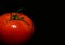 Juicy tomato in drops on a black background