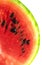 Juicy water-melon