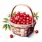 Juicy Watercolor Illustration Of Cherries In A Picnic Basket