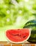 Juicy watermelon against natural background