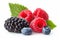 Juicy Wild Berry Mix with Raspberry, Blueberries, and Blackberries - Fresh and Vibrant Berries on White Background. created with