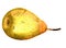 Juicy yellow chinese pear