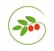 Jujube logo. Isolated jujube on white background