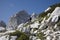 Julian alps - Jalovec peak and mountaineer