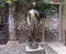 Juliet`s sculpture in the courtyard of Juliet`s house. The city of Verona. Italy.