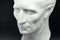 Julius caesar roman emperor gypsum bust