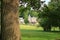 July 12 2020 Marianske Lazne/Marienbad / Czech Republic: beautiful park in Marienbad during the summertime